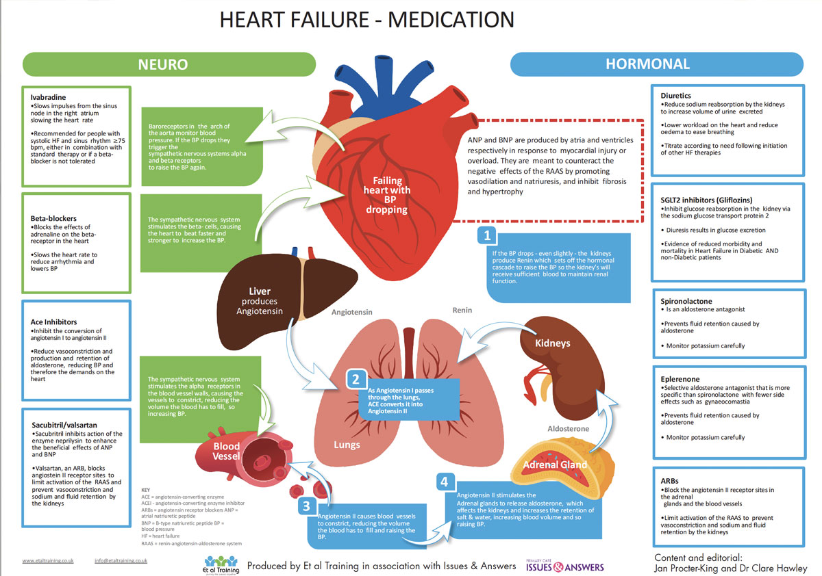 Back To Basics Heart Failure Medication Issues And Answers